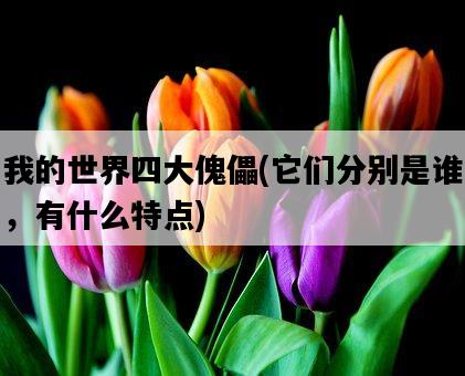 我的世界四大傀儡，它們分別是誰，有什么特點-圖1