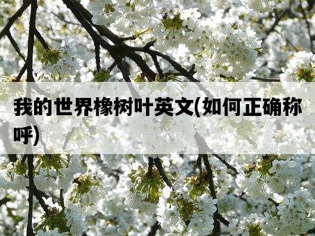 我的世界橡樹葉英文，如何正確稱呼-圖1