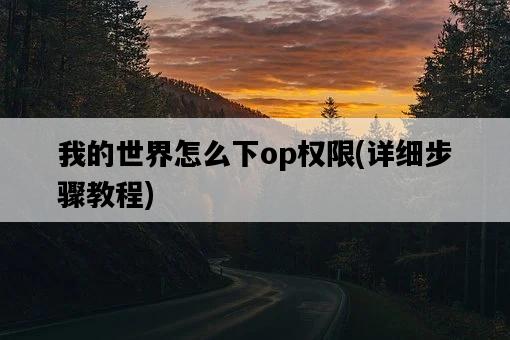我的世界怎么下op權限，詳細步驟教程-圖1