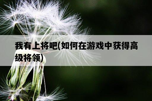 我有上將吧，如何在游戲中獲得高級將領-圖1