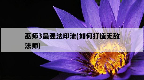 巫師3最強法印流，如何打造無敵法師-圖1