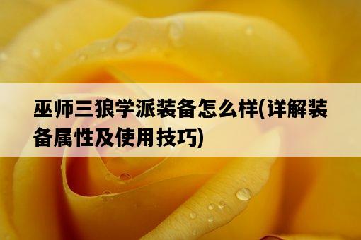 巫師三狼學派裝備怎么樣，詳解裝備屬性及使用技巧-圖1