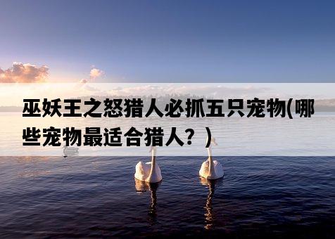 巫妖王之怒獵人必抓五只寵物，哪些寵物最適合獵人？-圖1