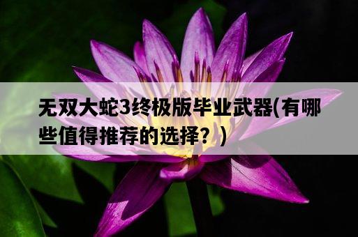 無雙大蛇3終極版畢業武器，有哪些值得推薦的選擇？-圖1