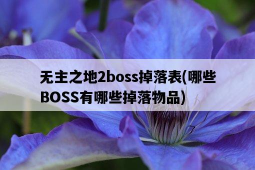 無主之地2boss掉落表，哪些BOSS有哪些掉落物品-圖1