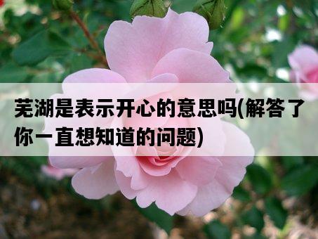 蕪湖是表示開心的意思嗎，解答了你一直想知道的問題-圖1