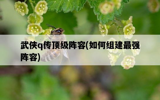 武俠q傳頂級陣容，如何組建最強陣容-圖1
