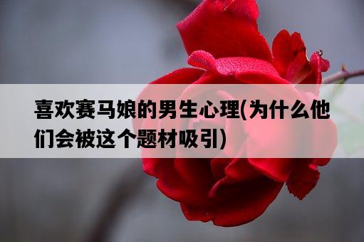 喜歡賽馬娘的男生心理，為什么他們會被這個題材吸引-圖1
