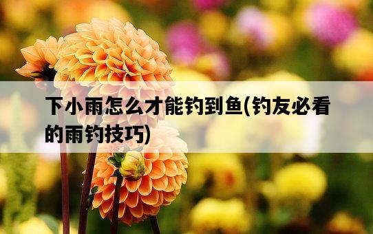 下小雨怎么才能釣到魚，釣友必看的雨釣技巧-圖1
