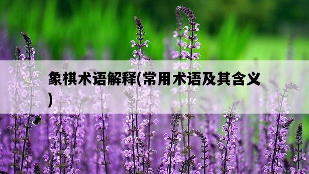 象棋術語解釋，常用術語及其含義-圖1