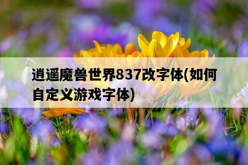 逍遙魔獸世界837改字體，如何自定義游戲字體-圖1