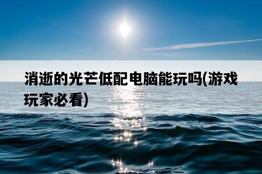 消逝的光芒低配電腦能玩嗎，游戲玩家必看-圖1