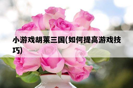 小游戲胡萊三國，如何提高游戲技巧-圖1