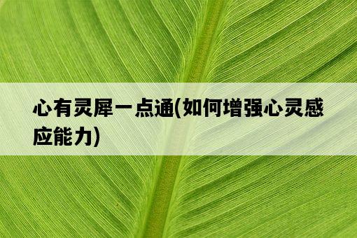 心有靈犀一點通，如何增強心靈感應能力-圖1