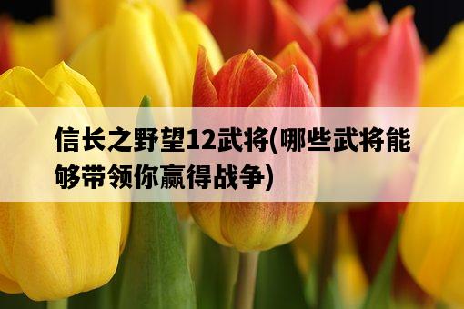 信長之野望12武將，哪些武將能夠帶領你贏得戰爭-圖1