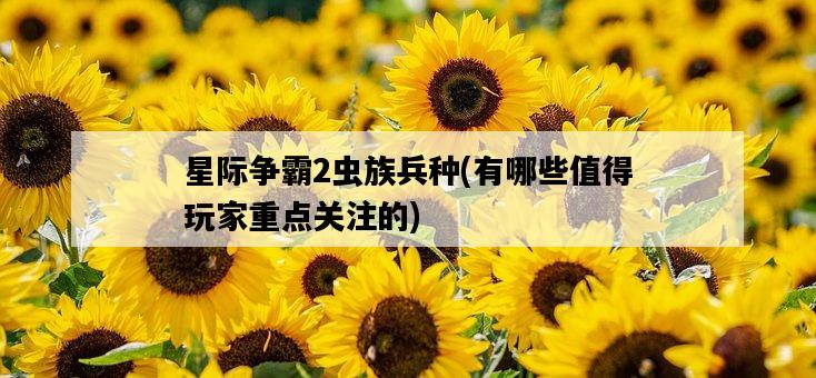 星際爭霸2蟲族兵種，有哪些值得玩家重點關注的-圖1