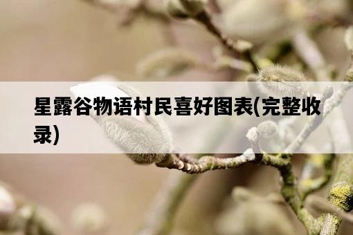 星露谷物語村民喜好圖表，完整收錄-圖1