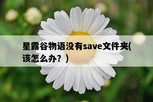 星露谷物語沒有save文件夾，該怎么辦？-圖1
