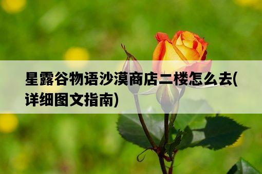 星露谷物語沙漠商店二樓怎么去，詳細圖文指南-圖1