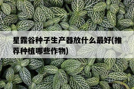 星露谷種子生產器放什么最好，推薦種植哪些作物-圖1
