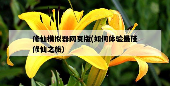 修仙模擬器網頁版，如何體驗最佳修仙之旅-圖1