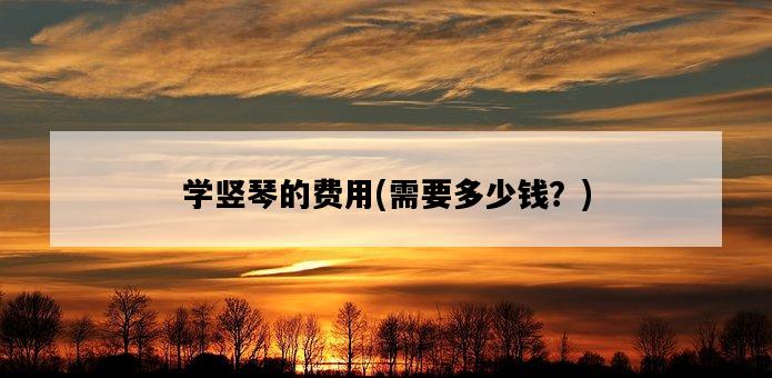 學豎琴的費用，需要多少錢？-圖1