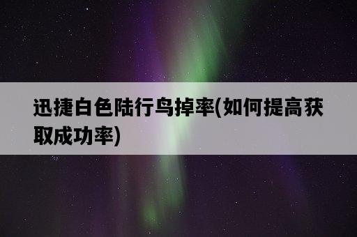 迅捷白色陸行鳥掉率，如何提高獲取成功率-圖1