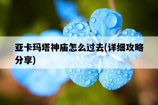亞卡瑪塔神廟怎么過去，詳細攻略分享-圖1