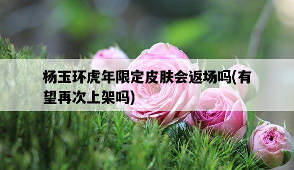 楊玉環虎年限定皮膚會返場嗎，有望再次上架嗎-圖1