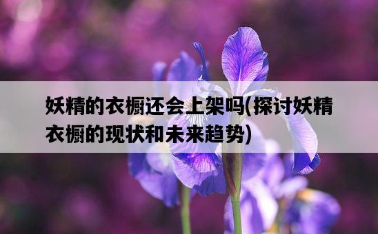 妖精的衣櫥還會上架嗎，探討妖精衣櫥的現狀和未來趨勢-圖1