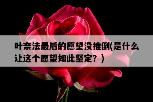 葉奈法最后的愿望沒推倒，是什么讓這個愿望如此堅定？-圖1