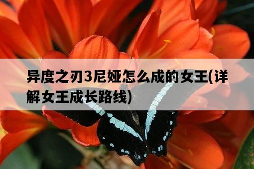 異度之刃3尼婭怎么成的女王，詳解女王成長路線-圖1