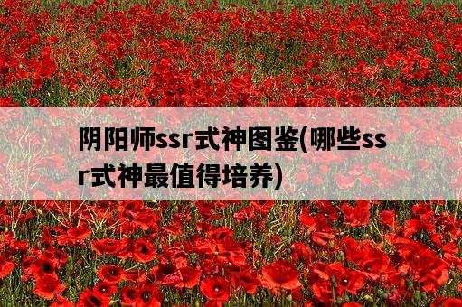 陰陽師ssr式神圖鑒，哪些ssr式神最值得培養-圖1