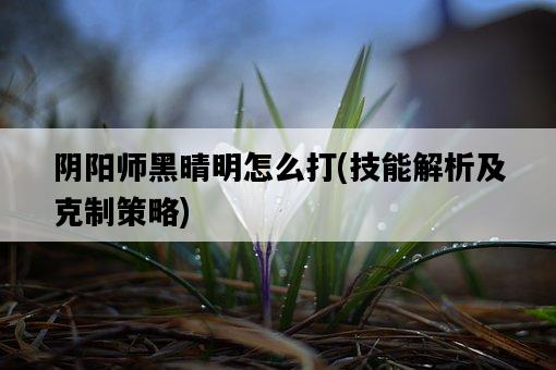 陰陽師黑晴明怎么打，技能解析及克制策略-圖1