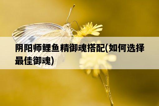 陰陽師鯉魚精御魂搭配，如何選擇最佳御魂-圖1