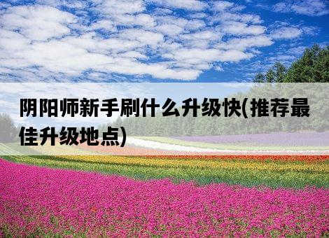 陰陽師新手刷什么升級快，推薦最佳升級地點-圖1