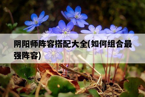 陰陽師陣容搭配大全，如何組合最強陣容-圖1