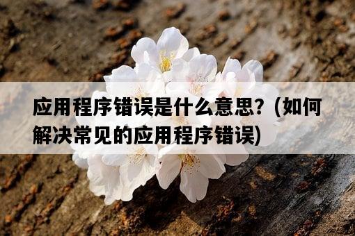 應用程序錯誤是什么意思？，如何解決常見的應用程序錯誤-圖1
