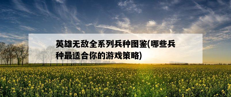 英雄無敵全系列兵種圖鑒，哪些兵種最適合你的游戲策略-圖1