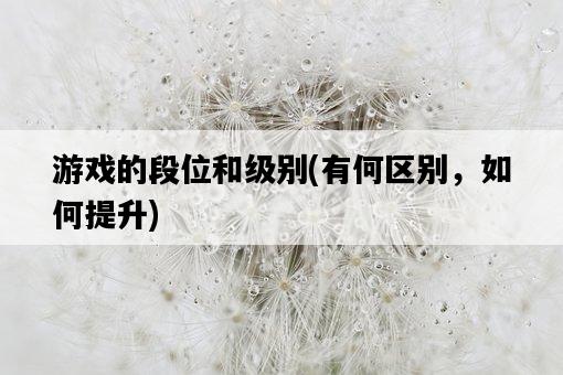 游戲的段位和級別，有何區別，如何提升-圖1