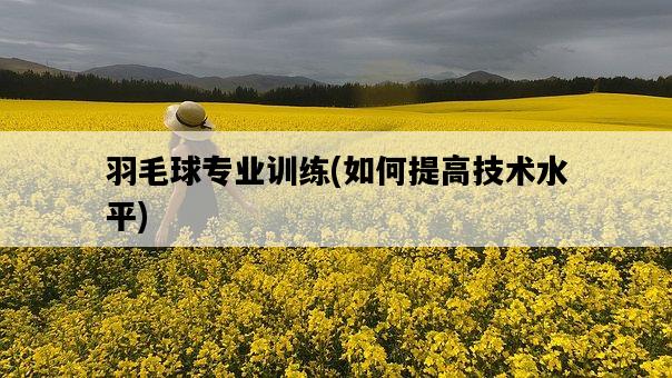 羽毛球專業訓練，如何提高技術水平-圖1
