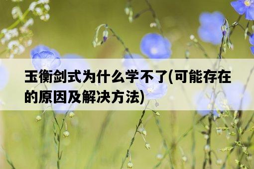 玉衡劍式為什么學不了，可能存在的原因及解決方法-圖1