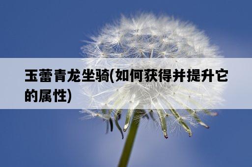 玉蕾青龍坐騎，如何獲得并提升它的屬性-圖1