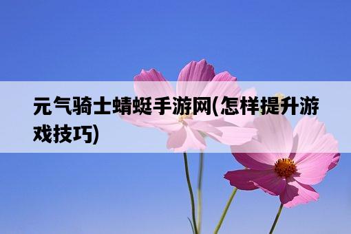 元氣騎士蜻蜓手游網，怎樣提升游戲技巧-圖1