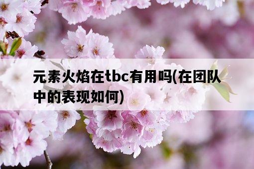元素火焰在tbc有用嗎，在團隊中的表現如何-圖1