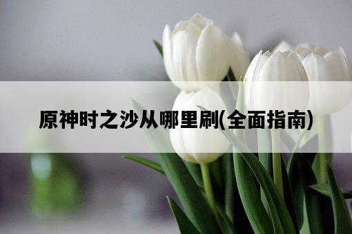 原神時之沙從哪里刷，全面指南-圖1