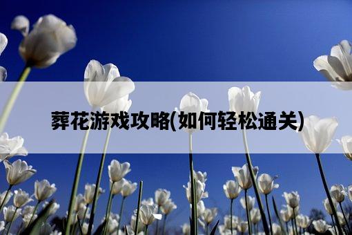 葬花游戲攻略，如何輕松通關-圖1