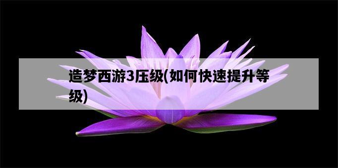 造夢西游3壓級，如何快速提升等級-圖1