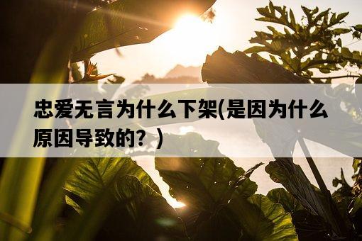 忠愛無言為什么下架，是因為什么原因導致的？-圖1