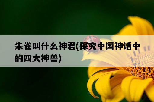 朱雀叫什么神君，探究中國神話中的四大神獸-圖1